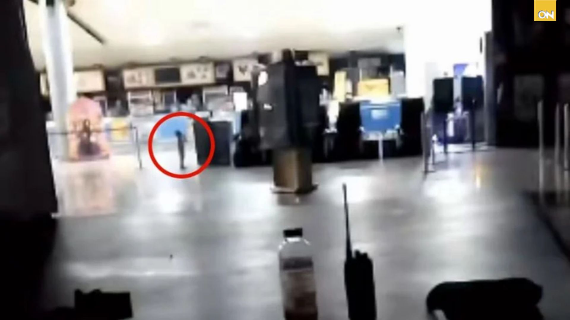 Video de un bebé llorando en un cine desata debate en redes