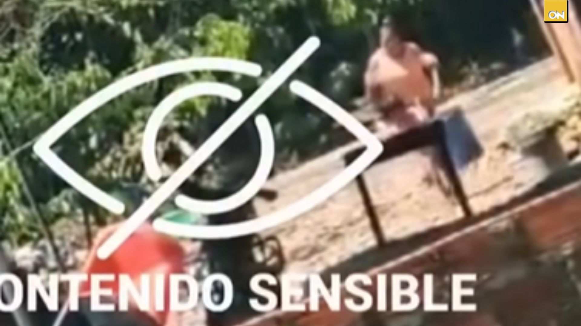 Video muestra abusos contra una niña de cinco años