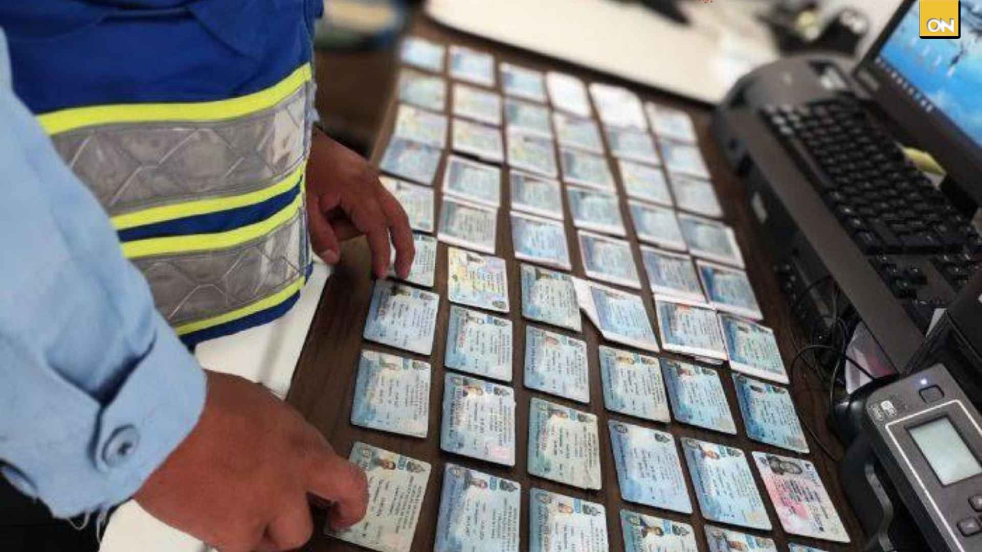 DNVT licencias de conducir