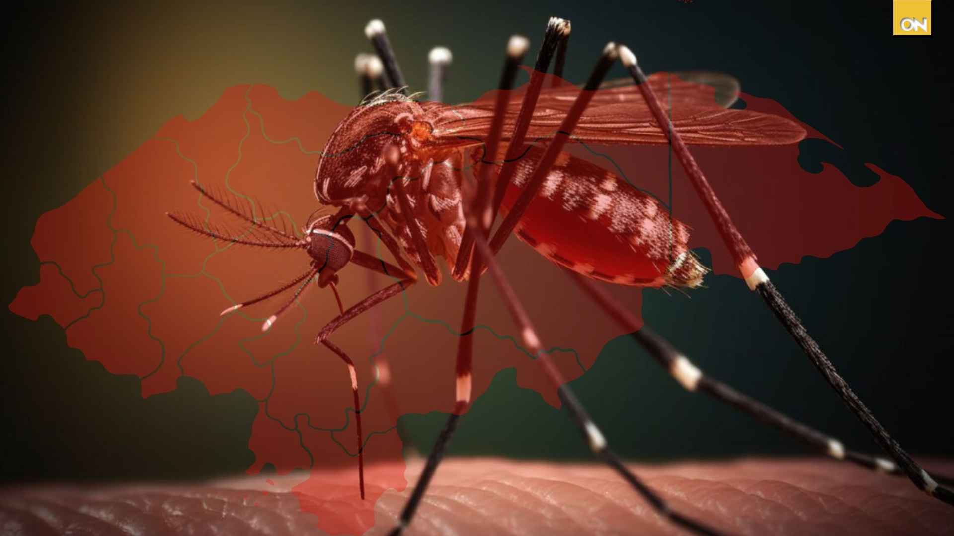 Dengue grave Distrito Central