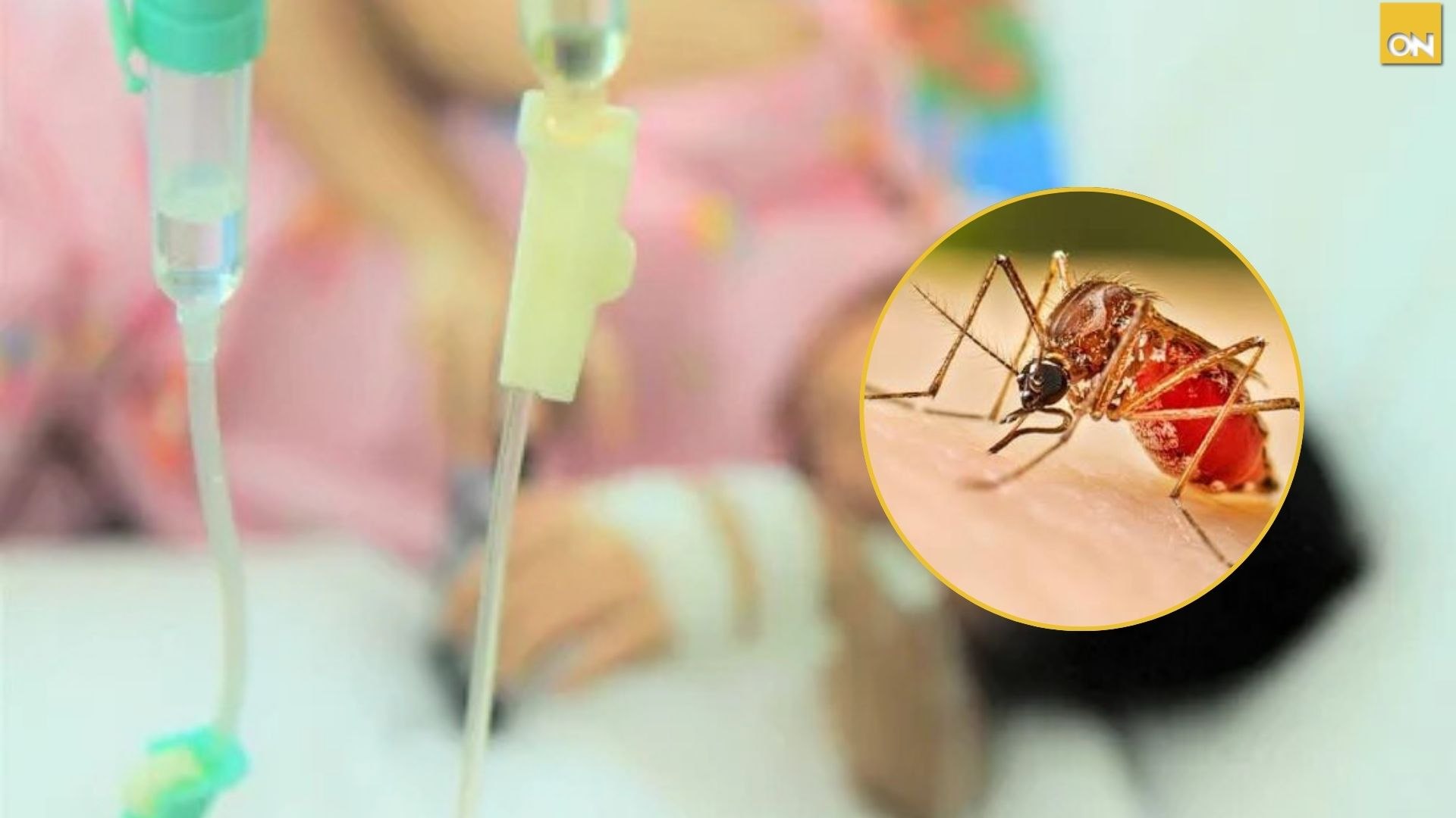 Dos menores fallecen por dengue en Choluteca