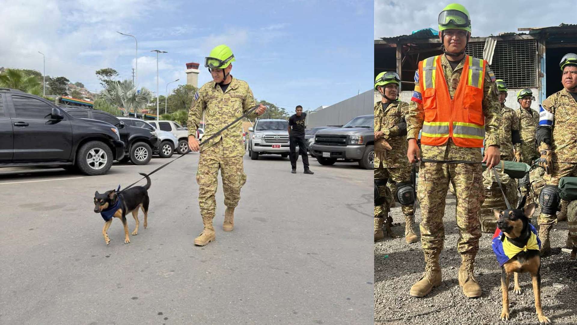 Rescatistas de El Salvador recuperan perrita y la adoptan