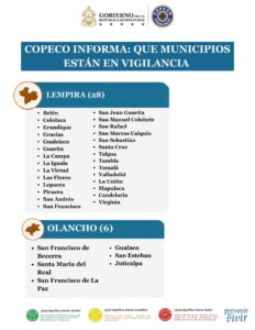 COPECO publica lista de municipios en alerta por sequía