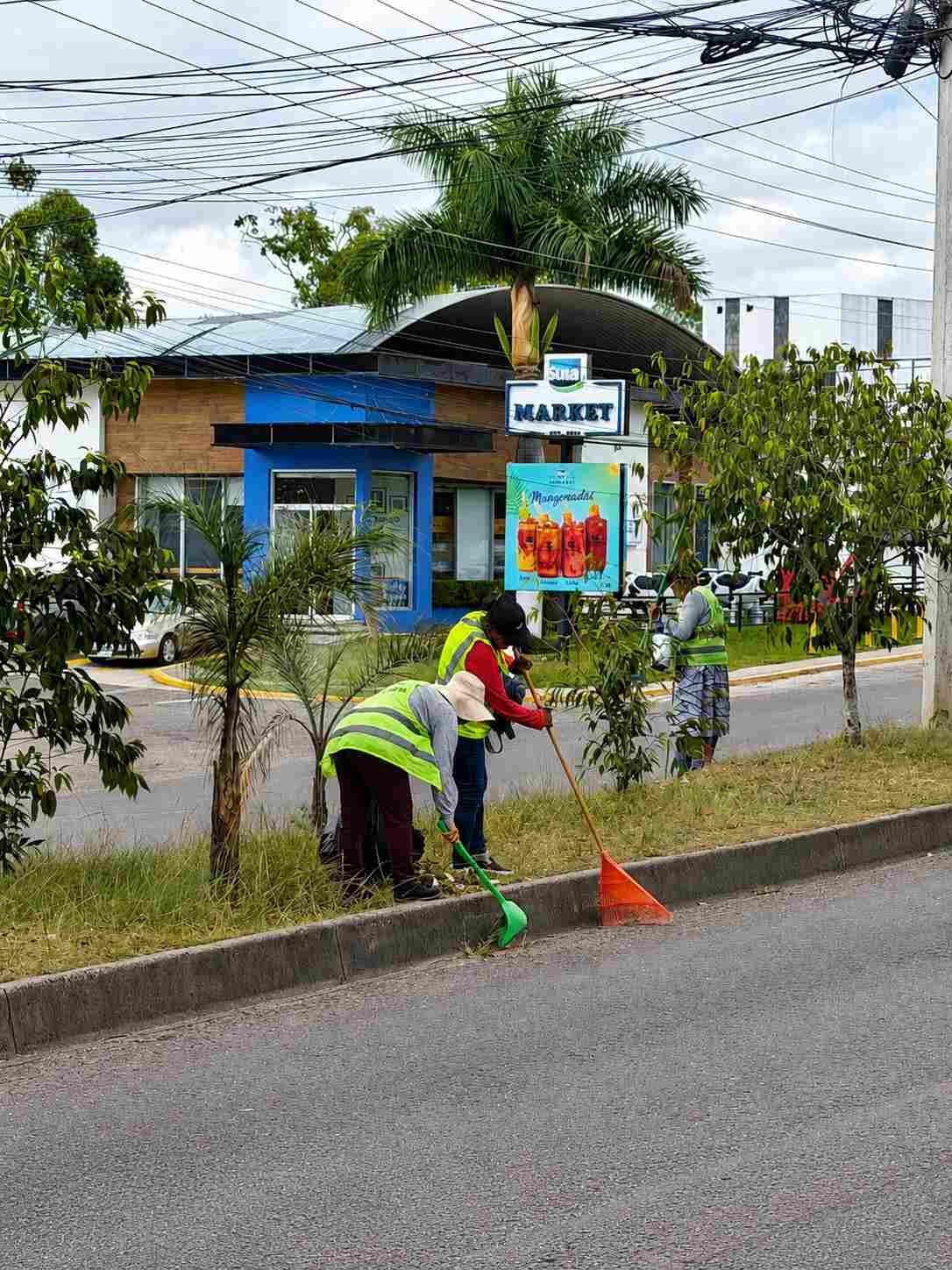 AMDC limpieza Anillo Periférico