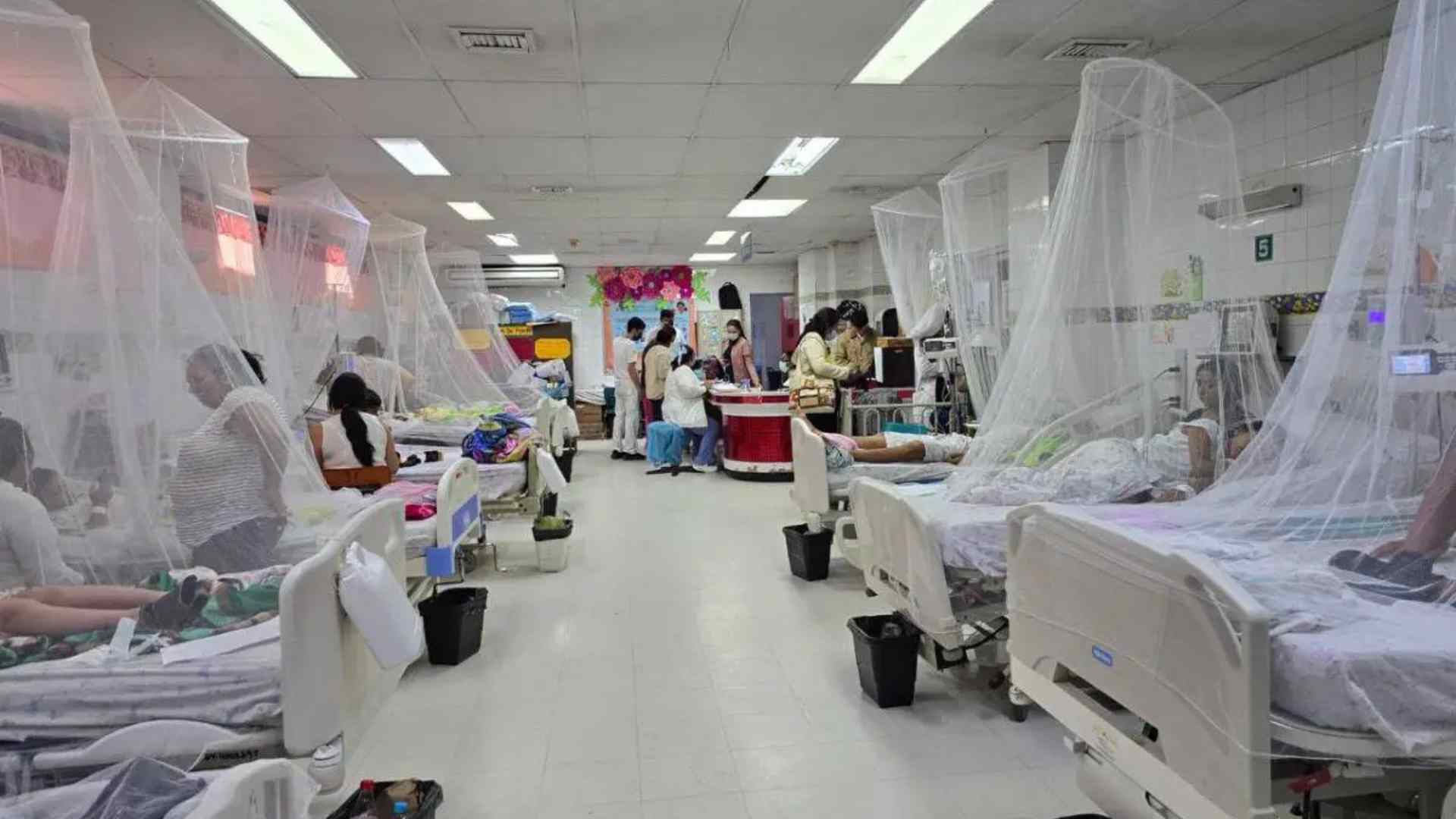 Dengue en el Distrito Central: Sesal identifica las colonias con mayor incidencia de casos