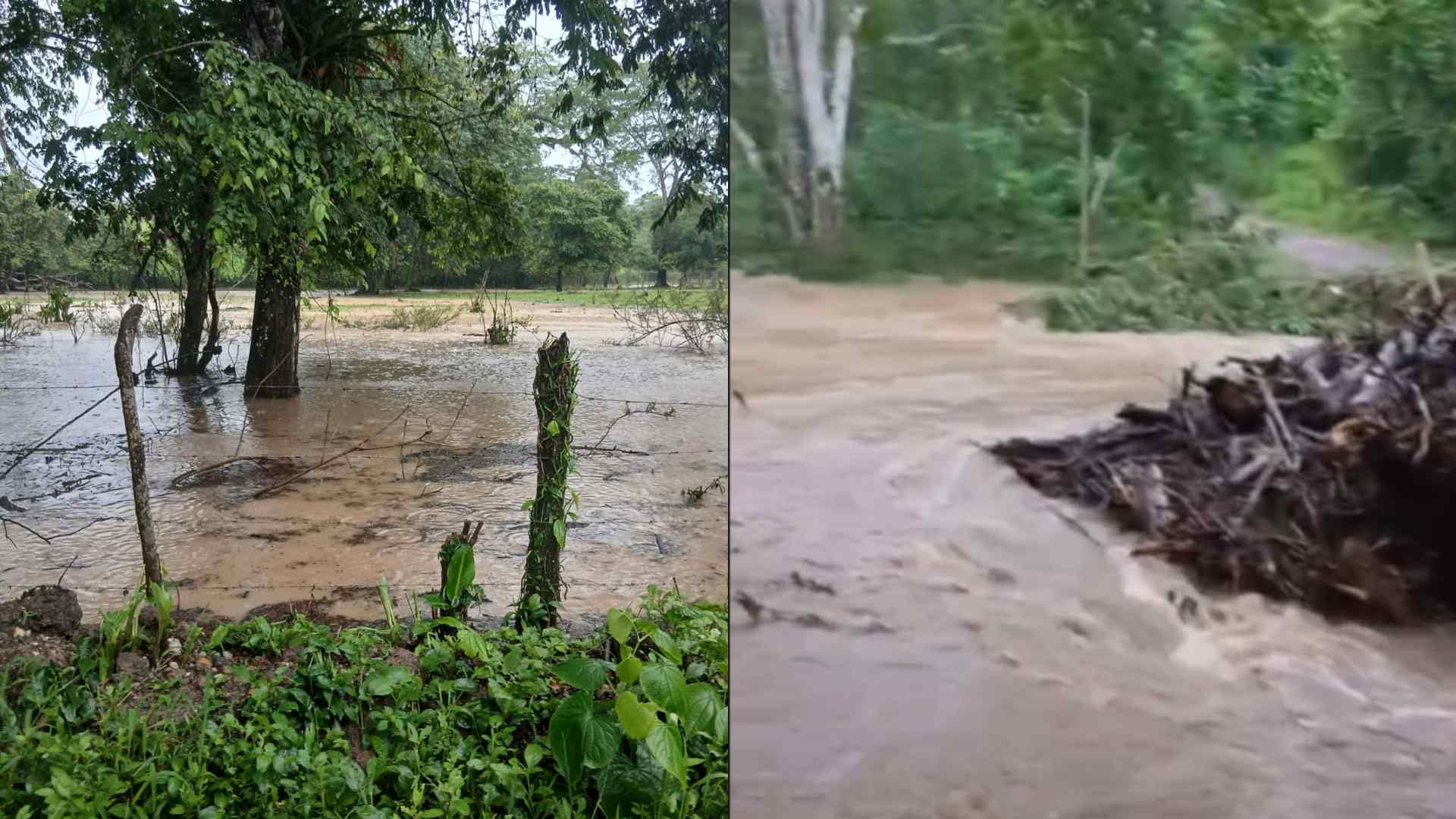 Lluvias en Honduras provocan afectaciones: ríos se desbordan y comunidades quedan incomunicadas