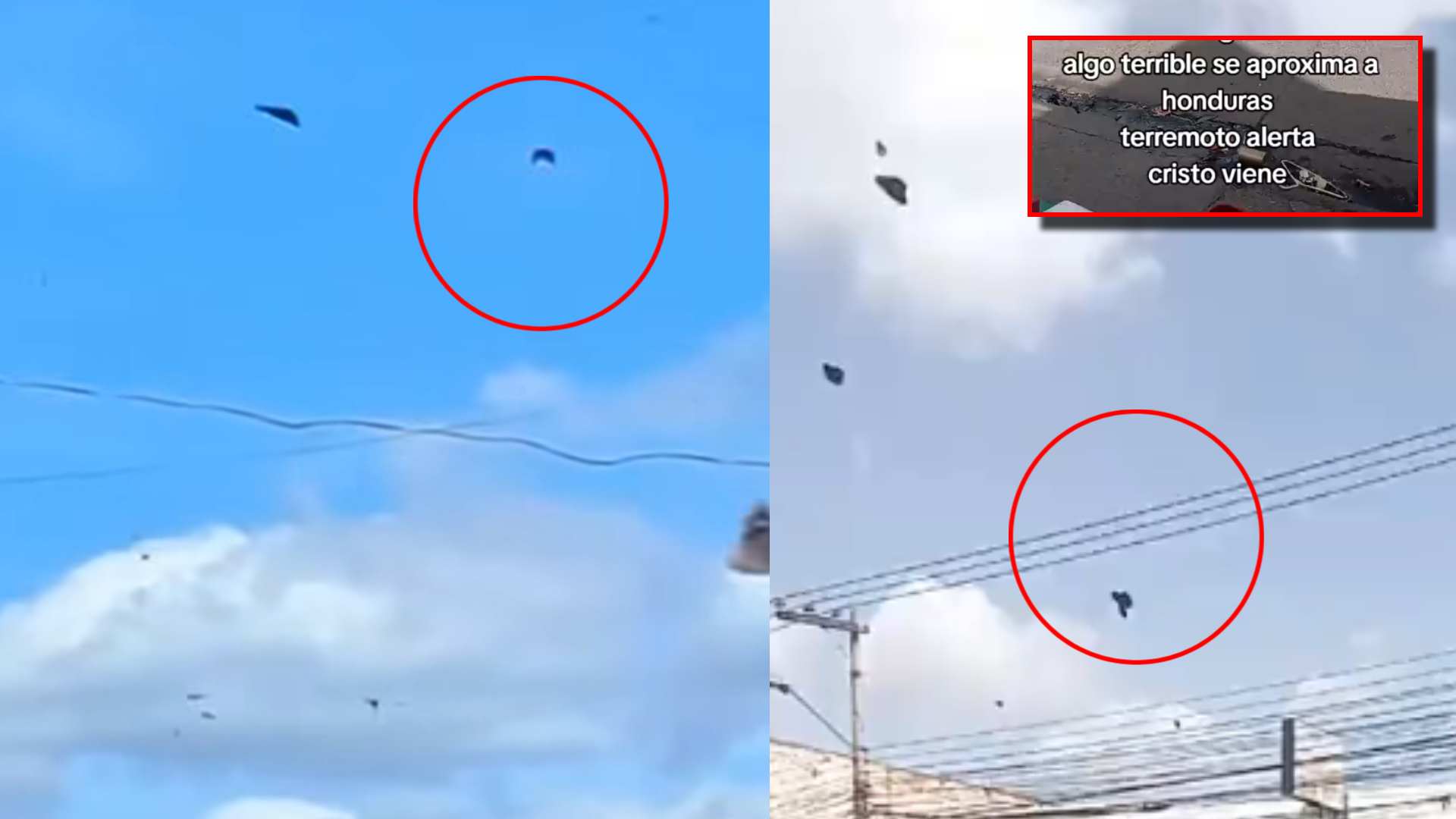 Mensaje de hondureño ante mariposas en Tegucigalpa
