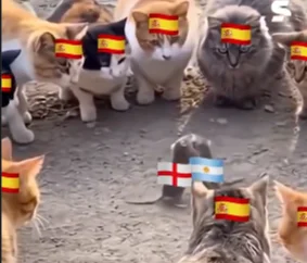 Memes Inglaterra Vs Argentina