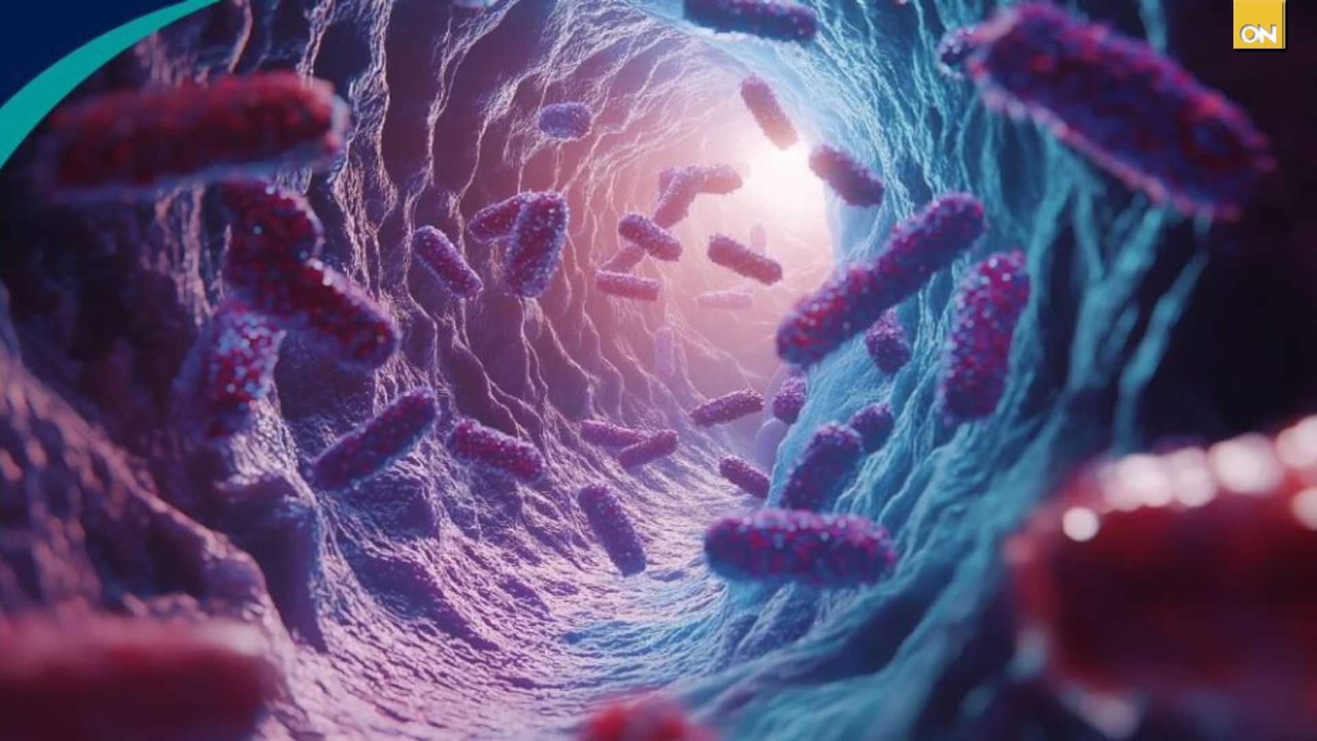 Crece la preocupación por la ciclosporiasis: Conoce qué es y cómo se contagia