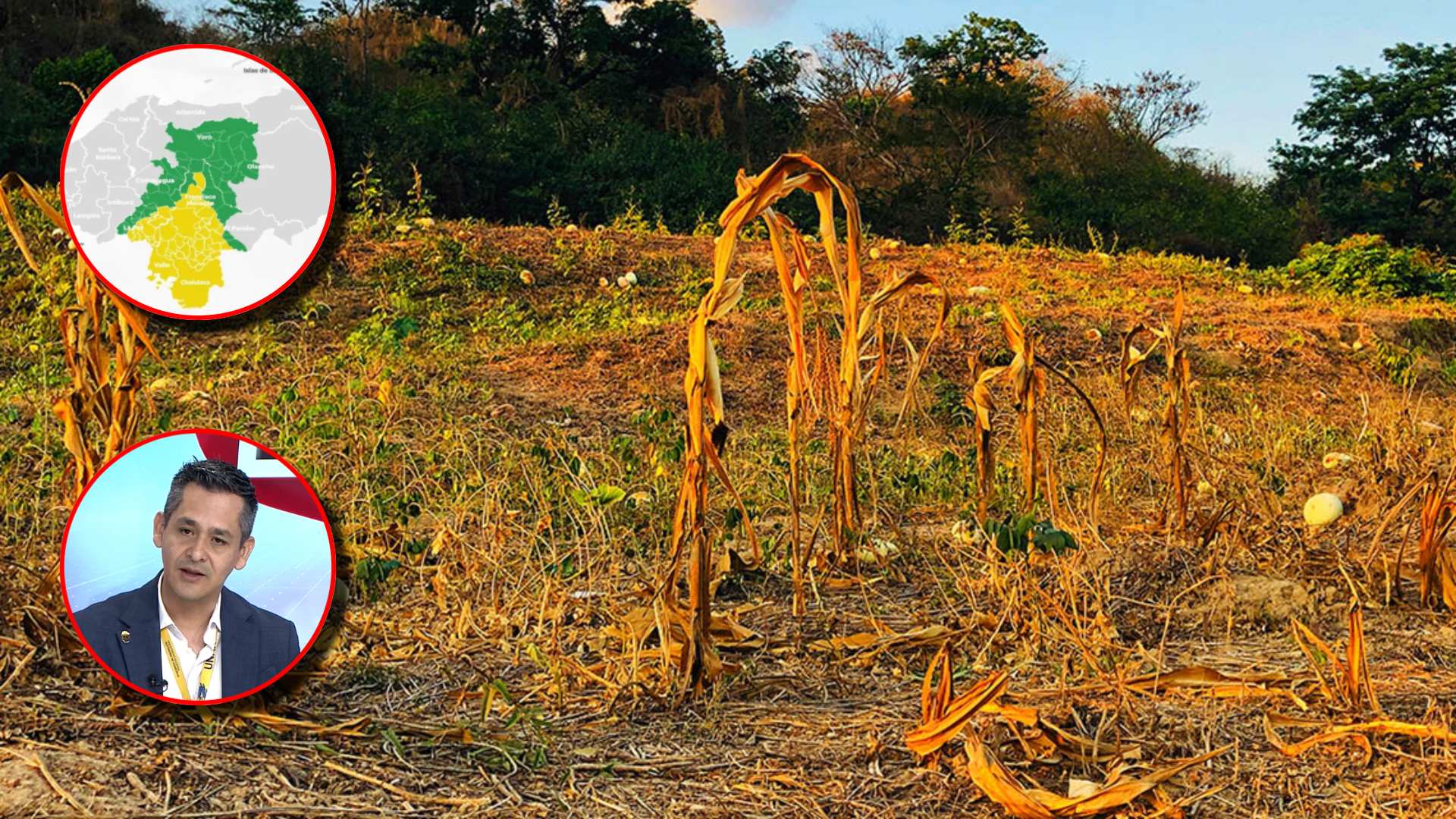 ¿El pronóstico de sequía en Honduras podría cambiar o no?